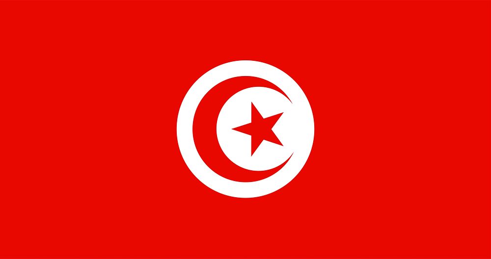 The national flag of Tunisia vector