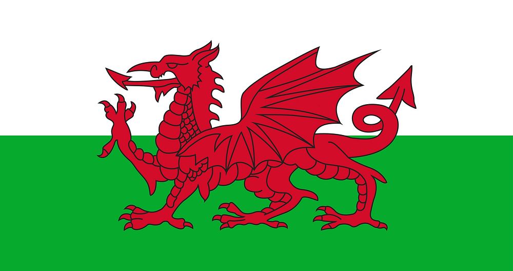 The national flag of Wales vector