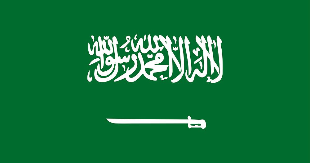 The national flag of Saudi Arabia vector