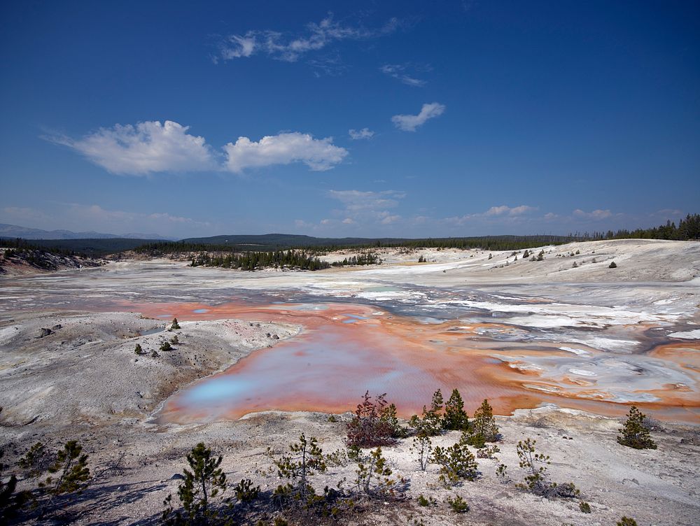 The Porcelain Basin, a thermally active area within Yellowstone National Park. Original image from Carol M.…