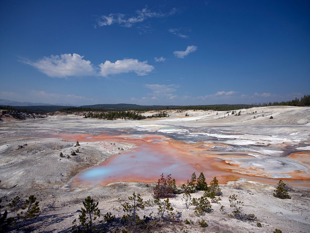 The Porcelain Basin, a thermally active area within Yellowstone National Park. Original image from Carol M. Highsmith’s…