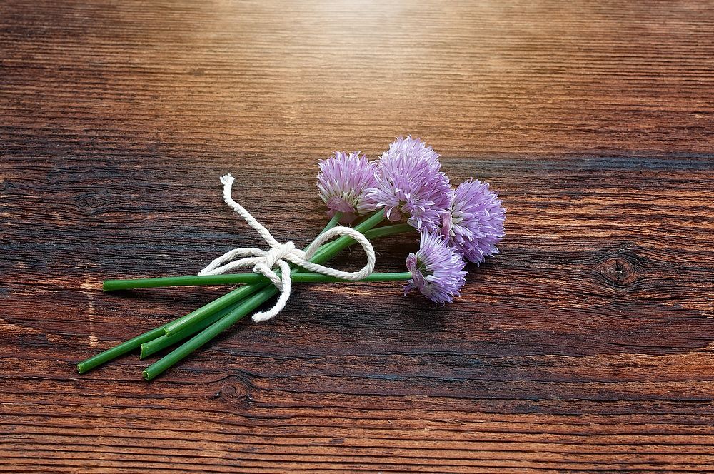 Free chive background image, public domain spring CC0 photo.