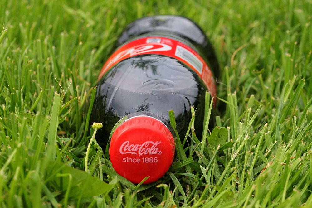Coca Cola bottle lying down on grass, location unknown, 26/11/2016