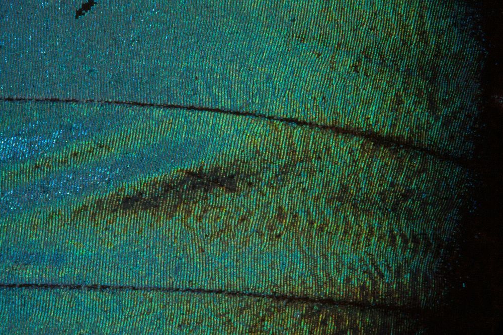 Free green cloth texture photo, public domain abstract CC0 image.
