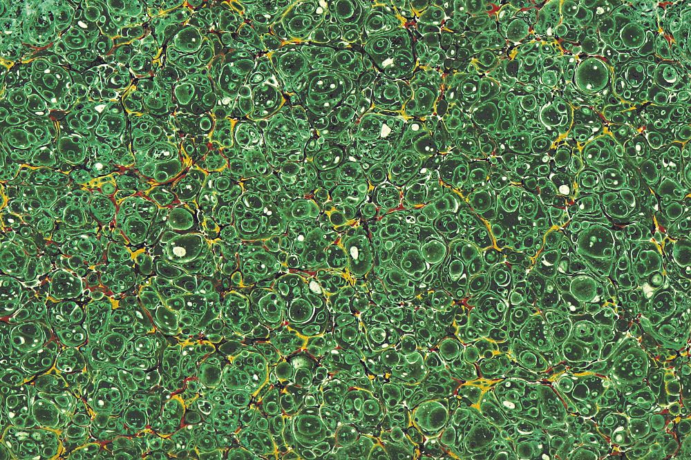 Abstract green pattern background. Remixed by rawpixel.