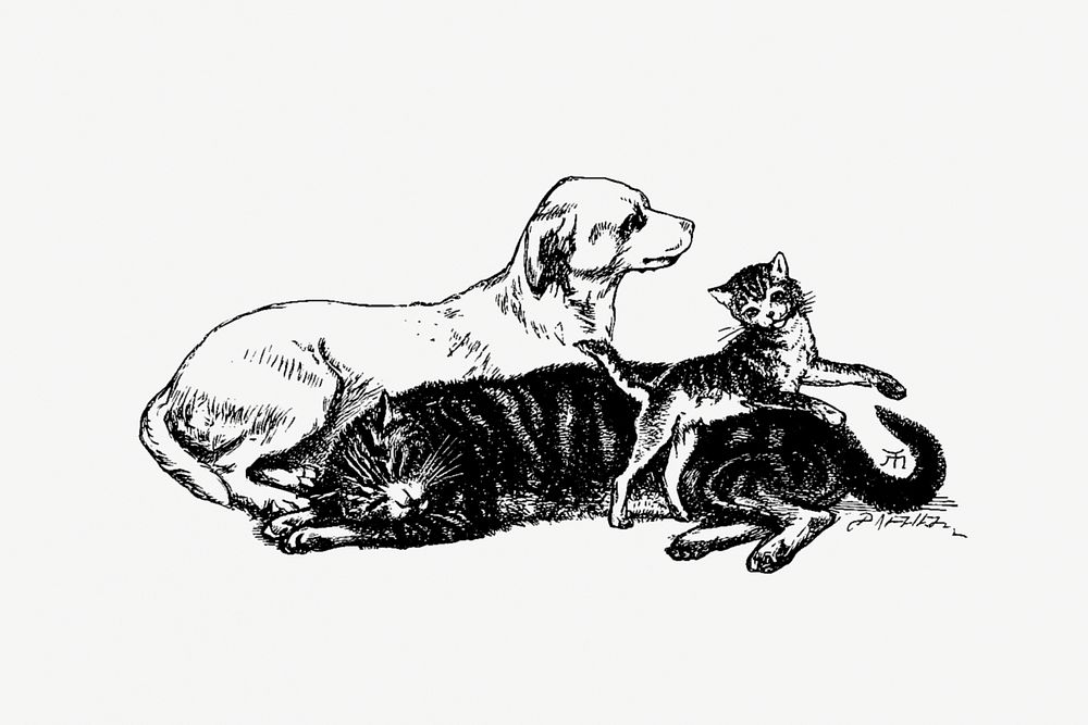 A dog, cat and kitten from Sing-Song. A Nursery Rhyme Book... With... illustrated by A. Hughes (1893). Original from the…