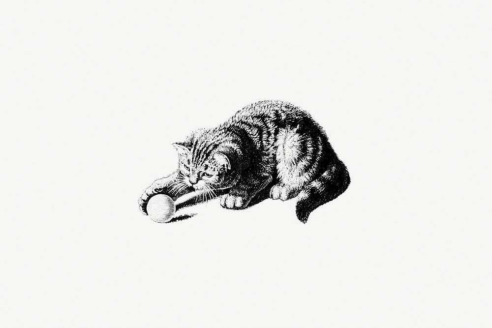 Drawing of a playful cat