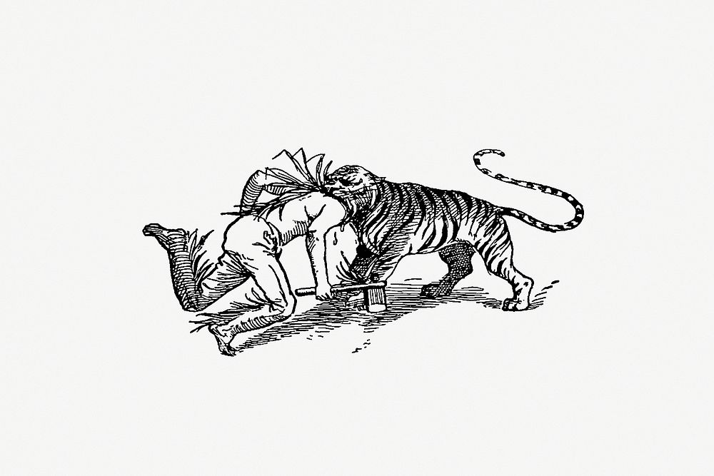 Drawing of a tiger attacking a man