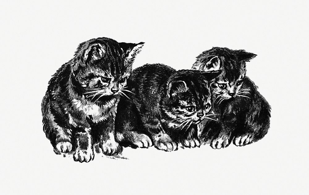 Kittens from Cherry Cheeks And Roses published by Ernest Nister (1890). Original from the British Library. Digitally…