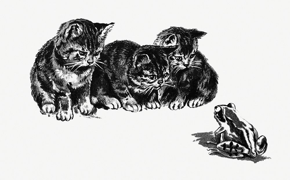 Kittens and a toad from Cherry Cheeks And Roses published by Ernest Nister (1890). Original from the British Library.…