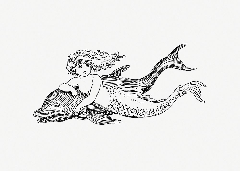 Drawing of a mermaid and a dolphin