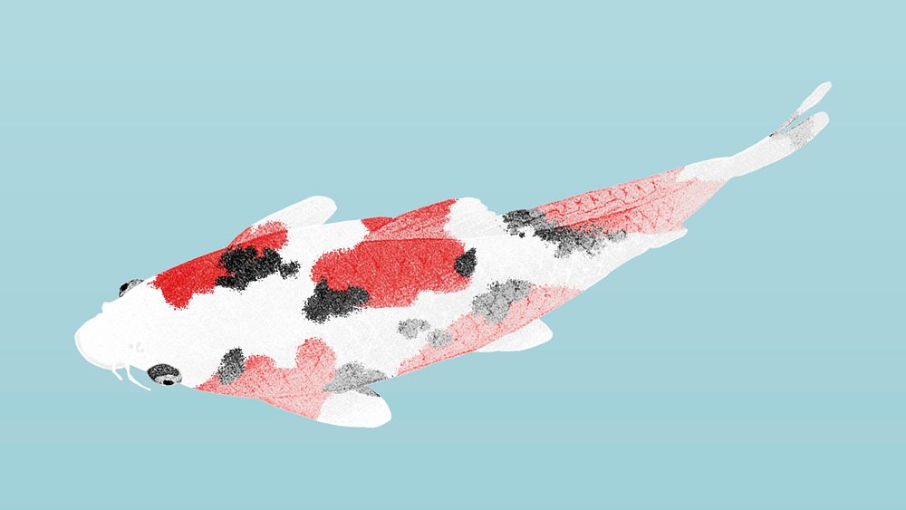 Colorful koi fish illustration