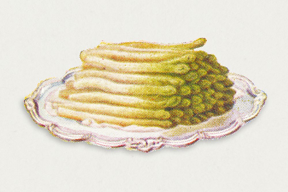 Vintage hand drawn asparagus illustration