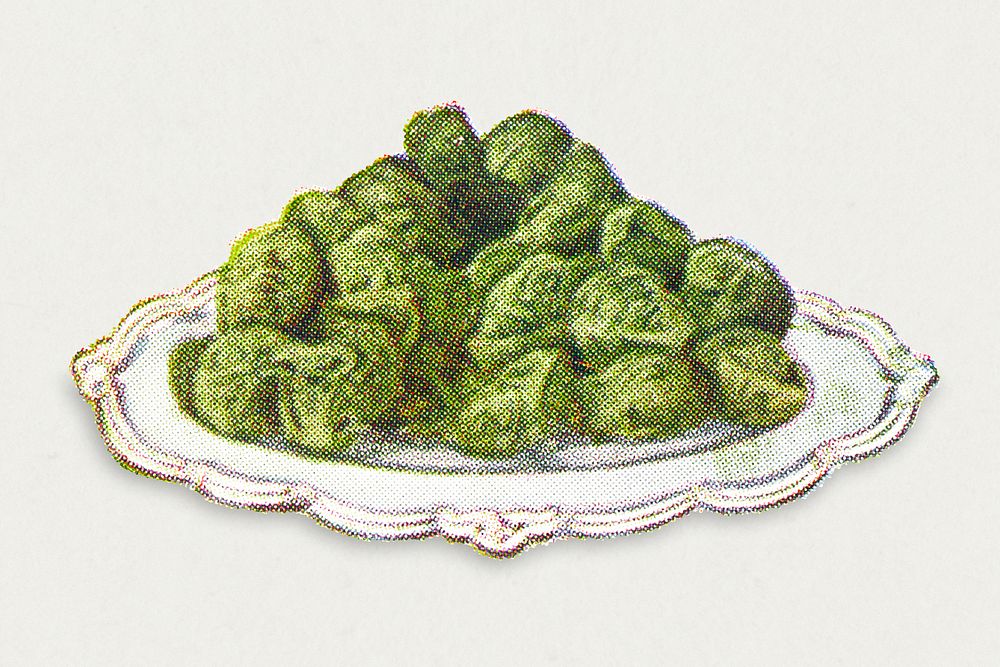 Vintage hand drawn brussels sprouts illustration