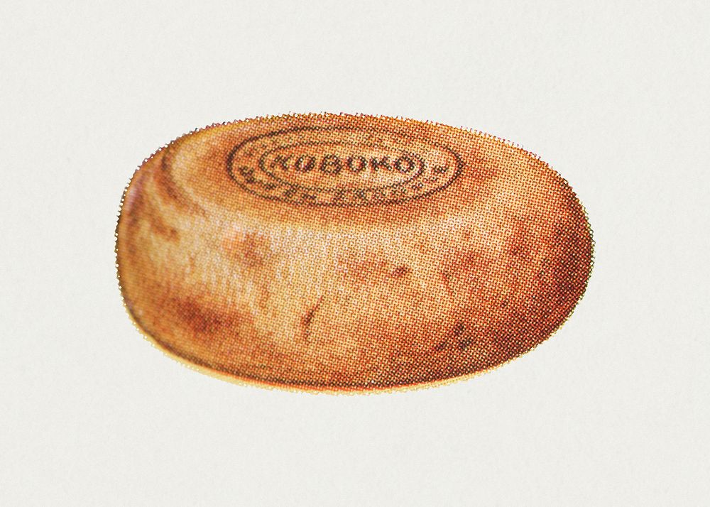 Vintage hand drawn koboko cheese design element