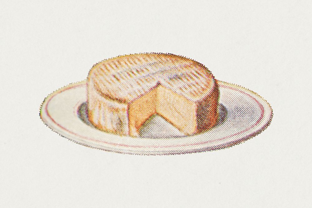 Vintage hand drawn camembert cheese design element
