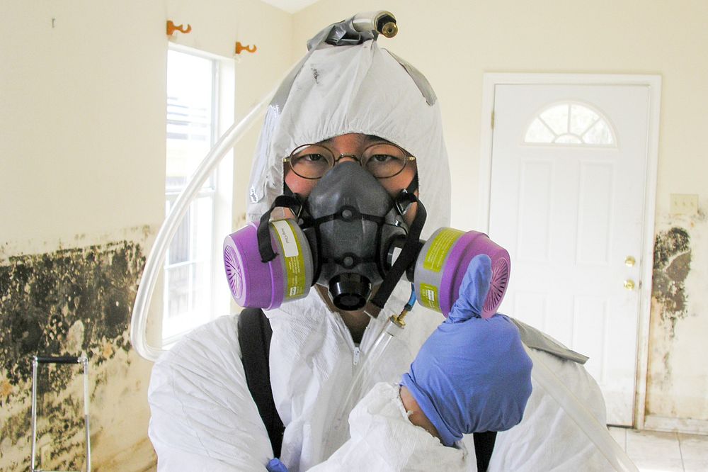 A healthcare worker investigating mold presence inside a home that had been flooded by Hurricane Katrina.