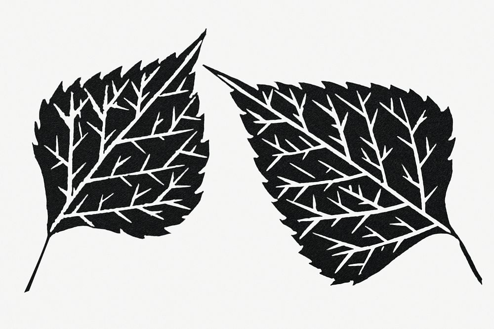 Vintage black leaves art print illustration, remix from artworks by Samuel Jessurun de Mesquita