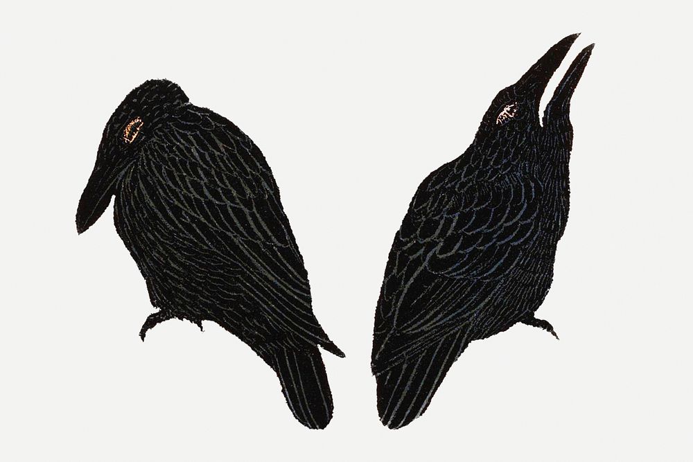 Vintage crow art print, remix from artworks by Theo van Hoytema