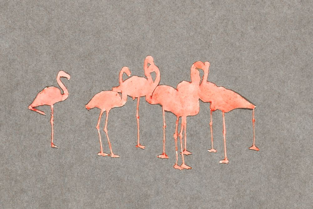 Flamingoes, study folder for book Concealing Coloration in the Animal Kingdom painting in high resolution by Abbott…