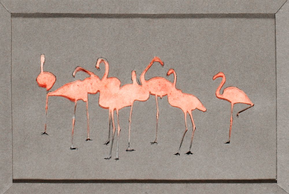 Flamingoes, study folder for book Concealing Coloration in the Animal Kingdom painting in high resolution by Abbott…