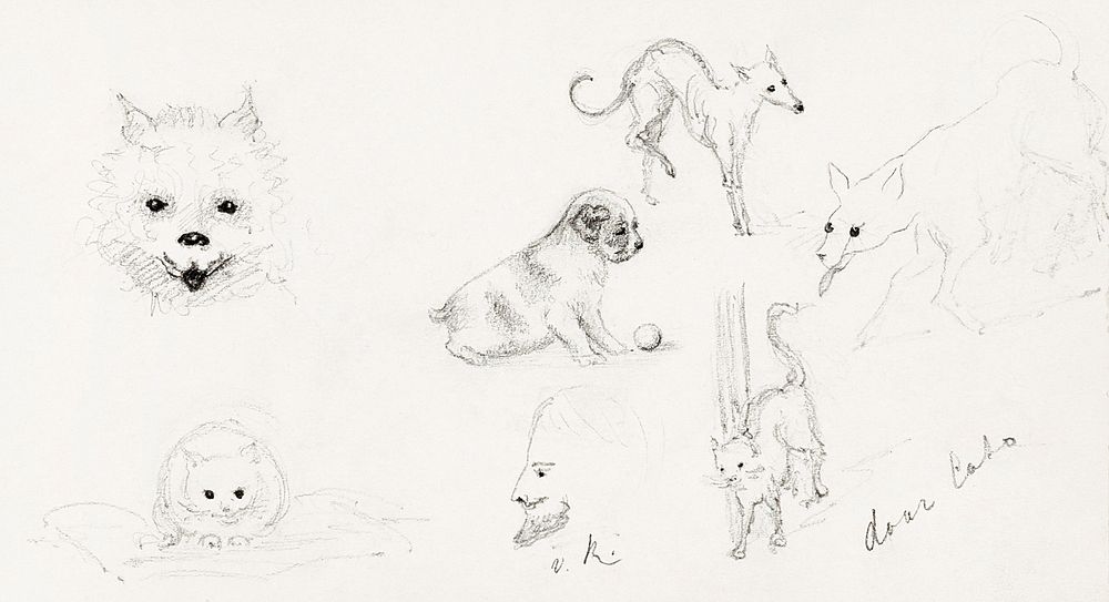 Dogs and cats sketches (1892) by Julie de Graag (1877-1924). Original from The Rijksmuseum. Digitally enhanced by rawpixel.