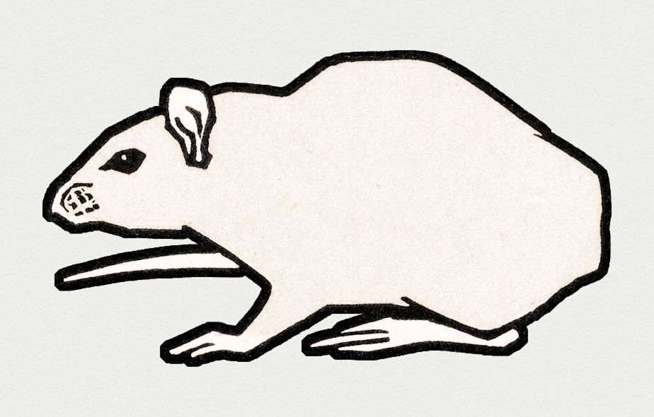 Vintage Illustration of Mouse.