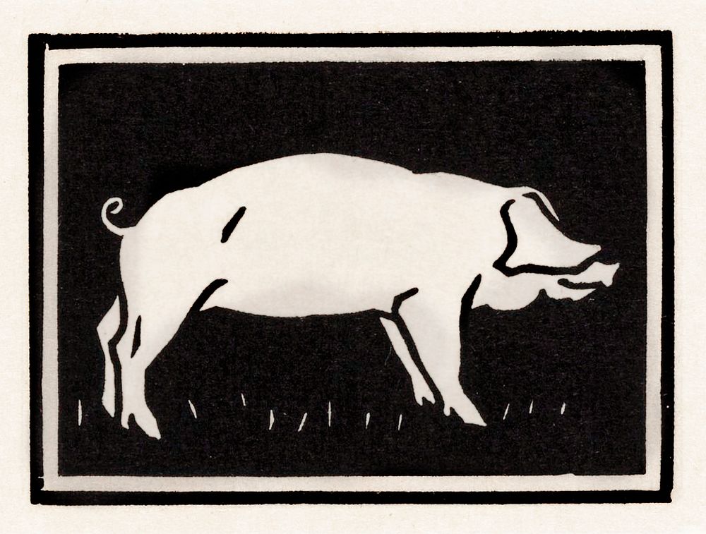 Pig (1923) by Julie de Graag (1877-1924). Original from The Rijksmuseum. Digitally enhanced by rawpixel.