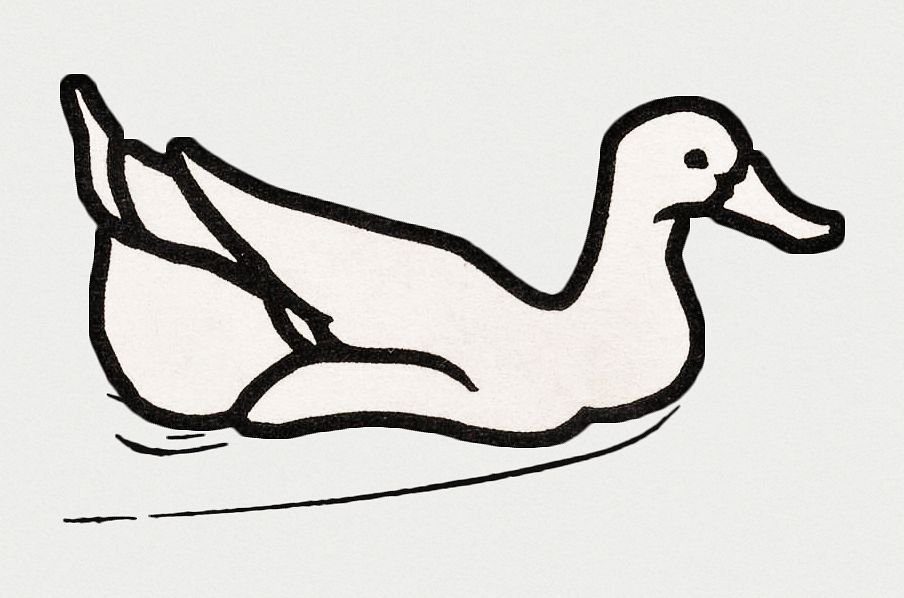 Vintage Illustration of Swimming duck.