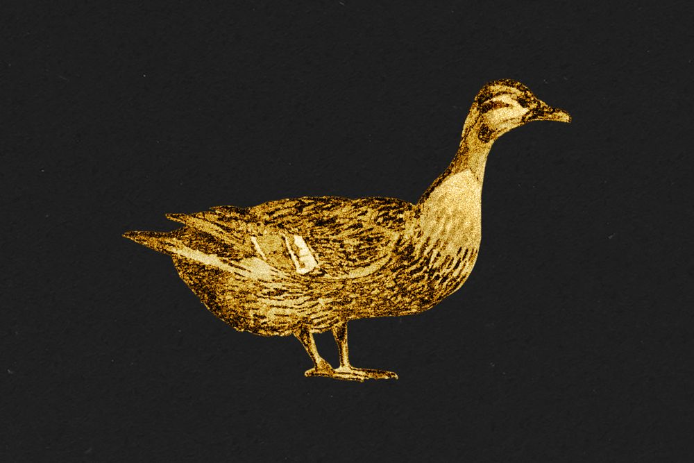 Vintage gold duck design element