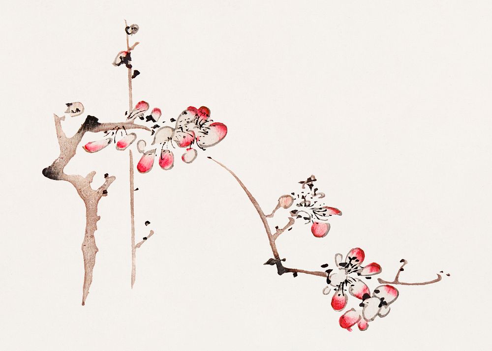 Vintage flower art print, remixed from artworks by Hu Zhengyan