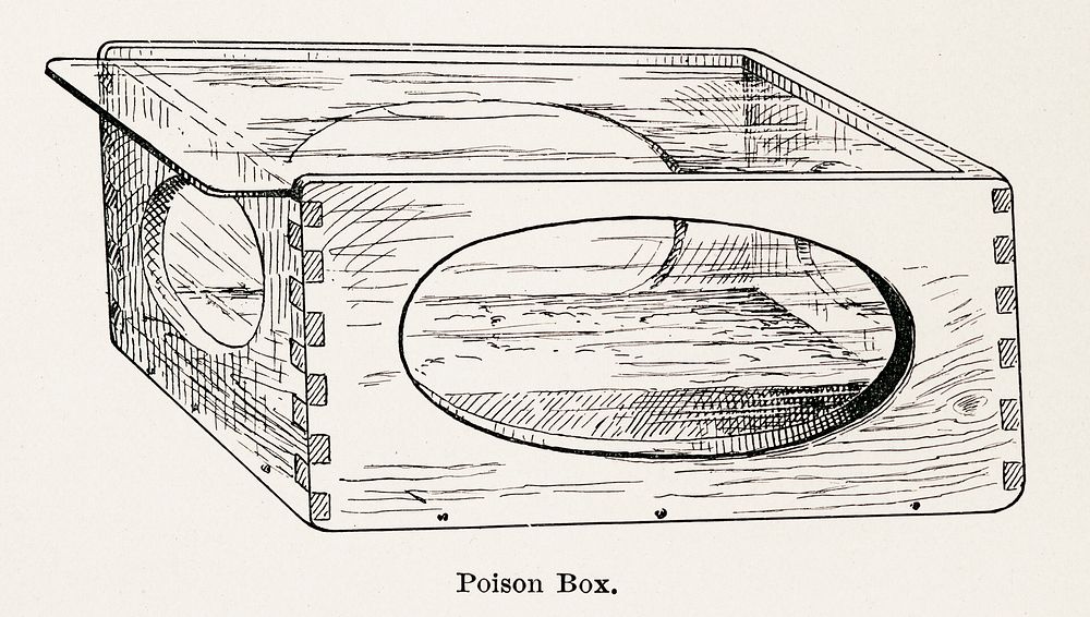 Poison Box.  Digitally enhanced from our own publication of Moths and butterflies of the United States (1900) by Sherman F.…