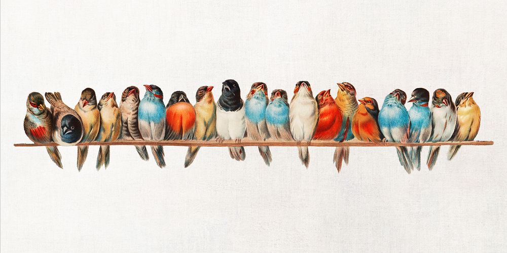 A Perch of Birds illustration, Hector Giacomelli's famous artwork, remastered by rawpixel