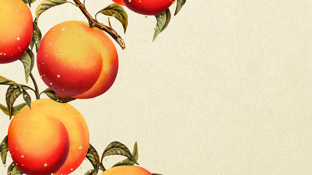 Peach desktop wallpaper, presentation background with aesthetic botanical illustration
