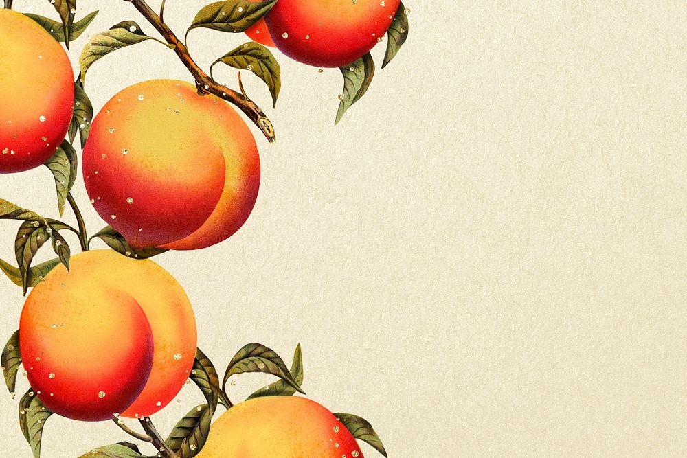 Peach background, aesthetic botanical border illustration psd