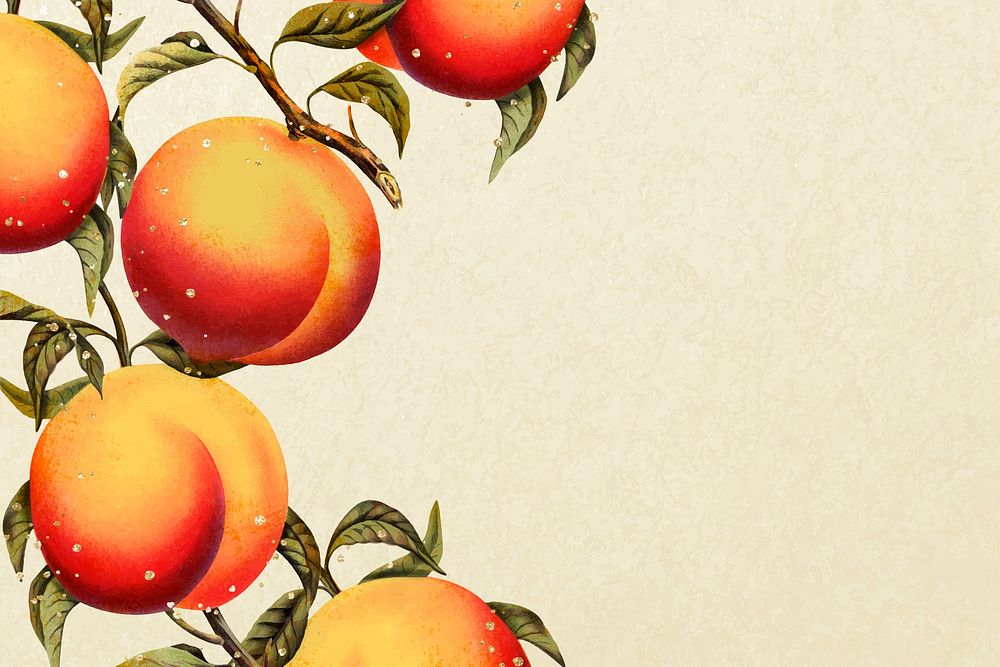 Peach background, aesthetic botanical border vector