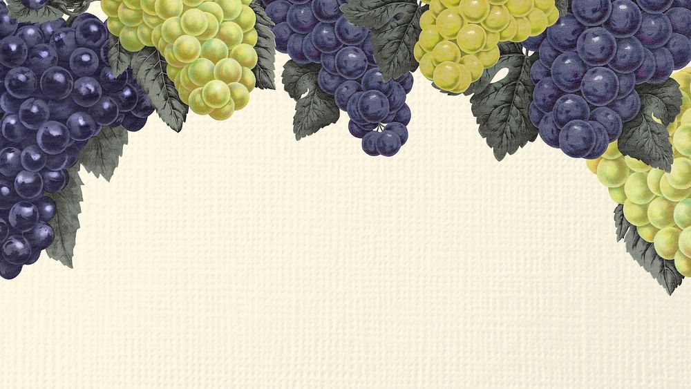Grape desktop wallpaper, presentation background with aesthetic botanical illustration