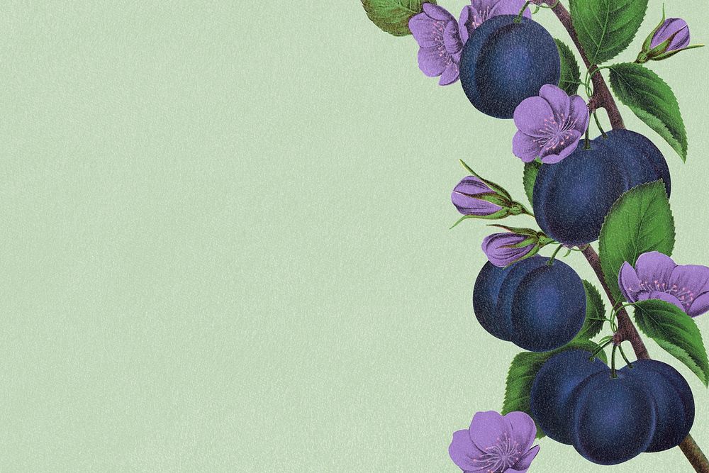 Green plum background, aesthetic botanical border illustration psd