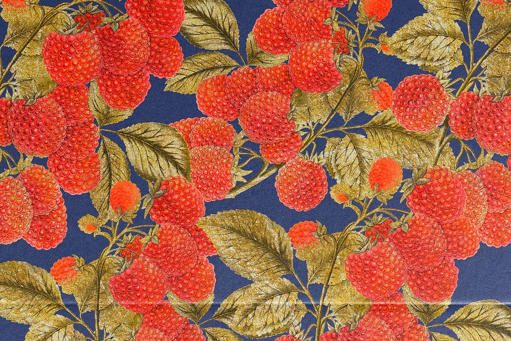 Vintage red berry background, aesthetic design
