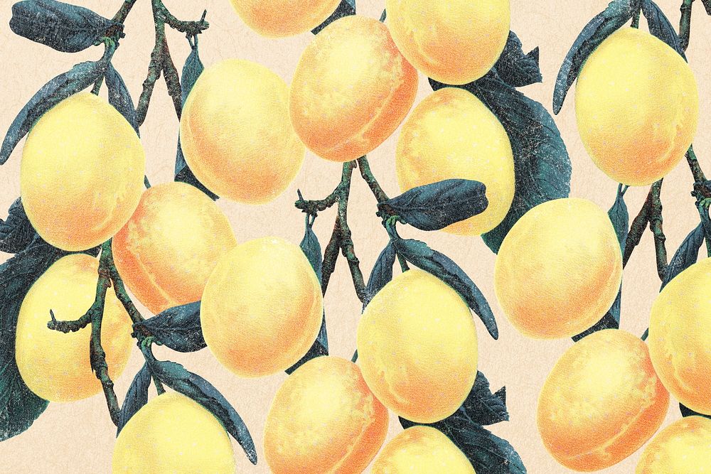 Yellow plum, pink background, vintage illustration 