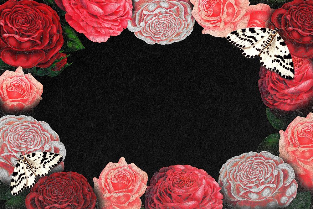 Pink rose frame, floral black background psd