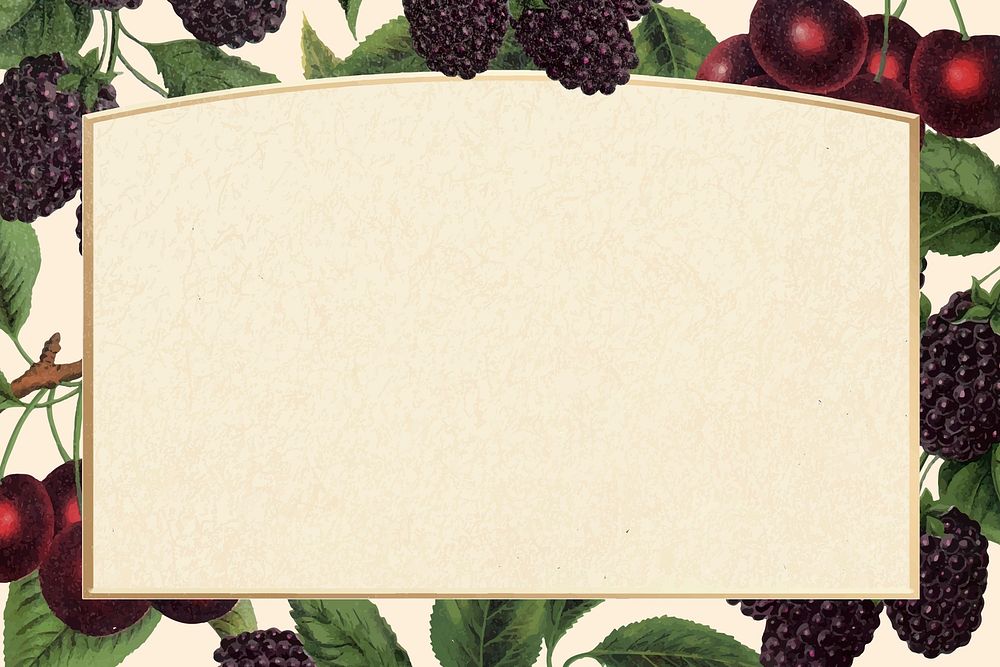 Blackberry botanical frame, vintage background vector