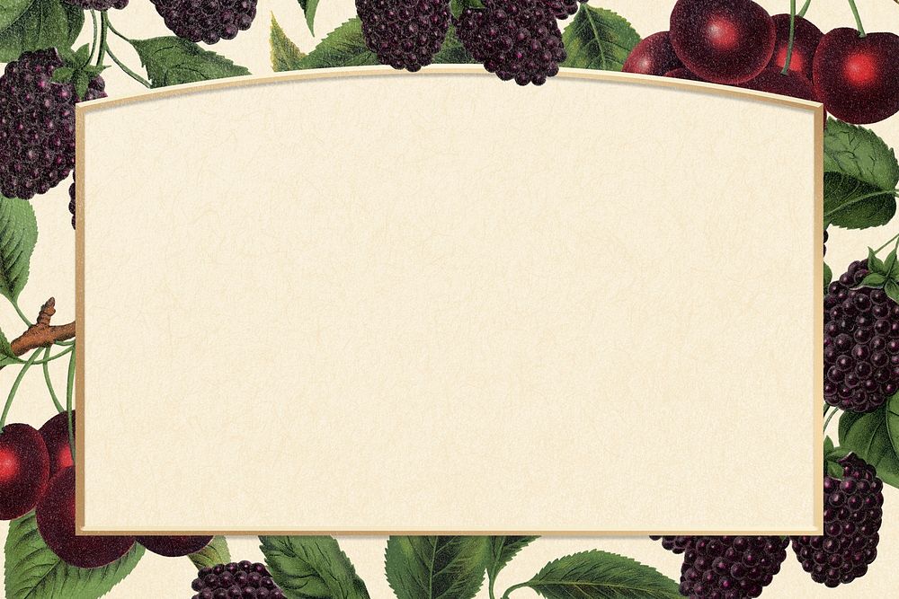 Blackberry botanical frame, vintage background psd