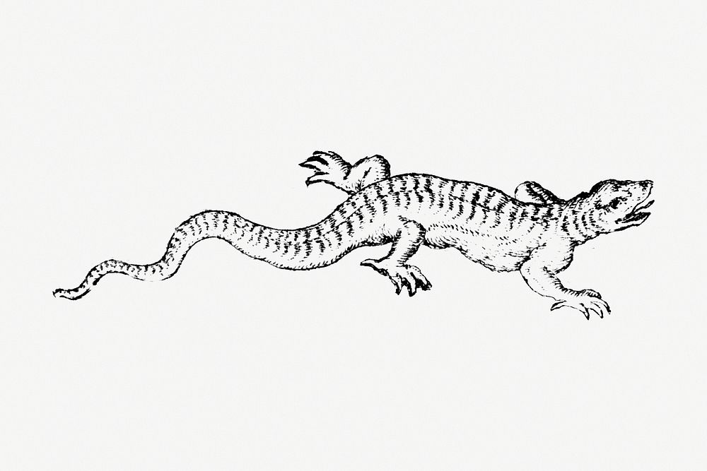 Lizard monochrome design element