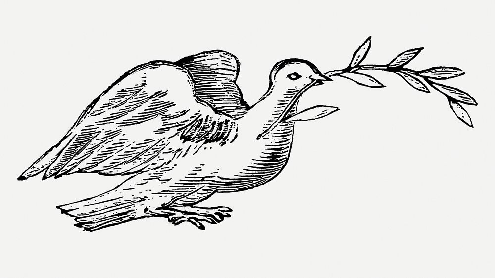 Vintage psd black and white dove with olive branch, featuring public domain artworks
