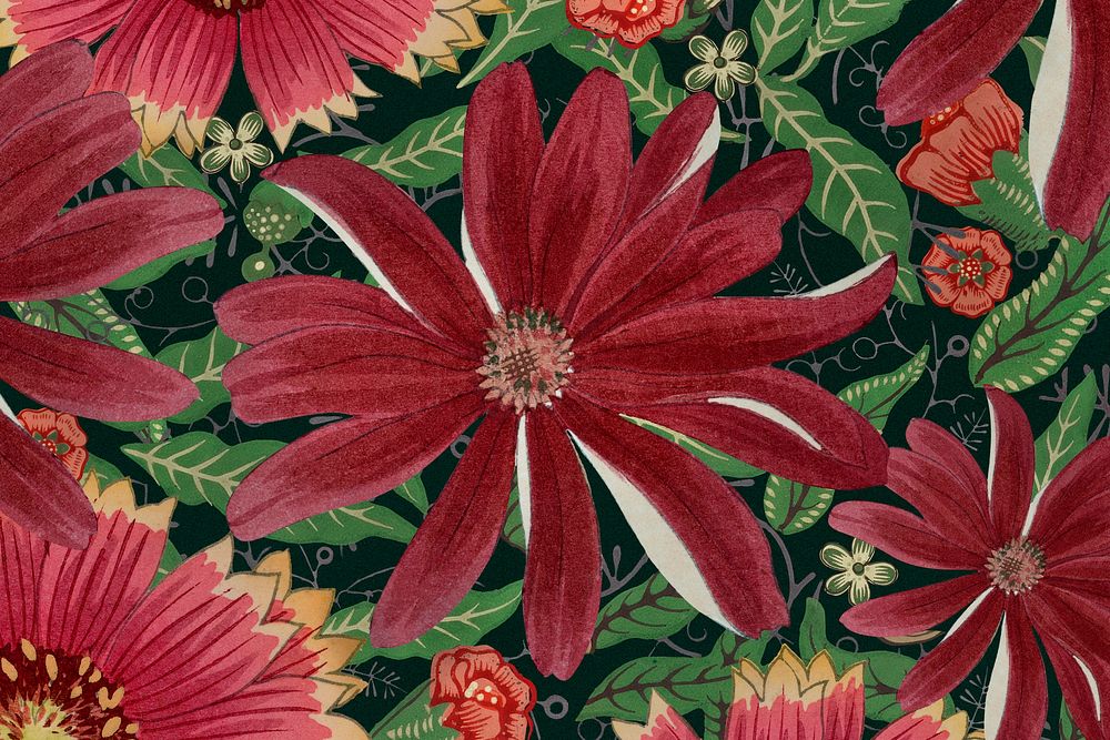 Cineraria flower background, vintage Japanese art psd