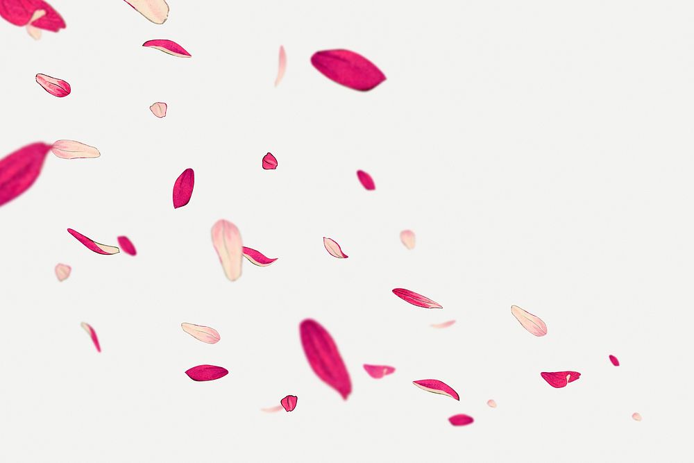 Pink flower petals background, copy space, ukiyo e floral art psd