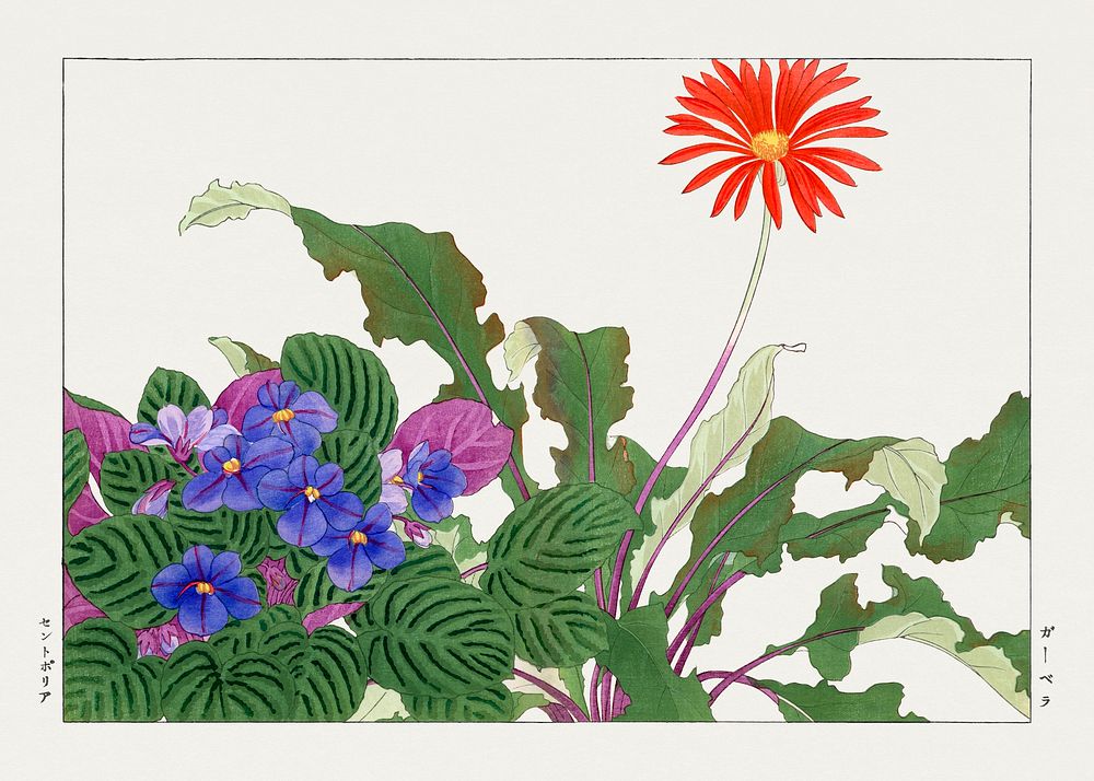 Wildflower, Japanese woodblock art.  Digitally enhanced from our own 1917 edition of Seiyô SÔKA ZUFU by Tanigami Kônan.