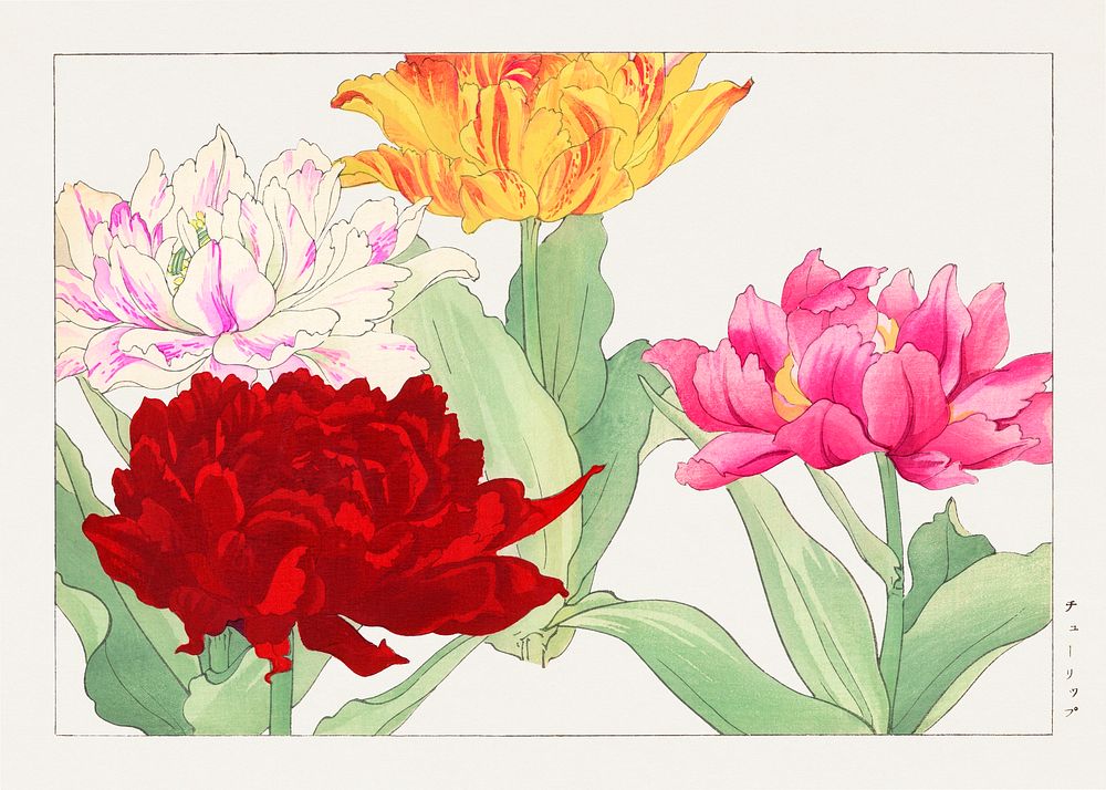 Peony flower, Japanese woodblock art.  Digitally enhanced from our own 1917 edition of Seiyô SÔKA ZUFU by Tanigami Kônan.