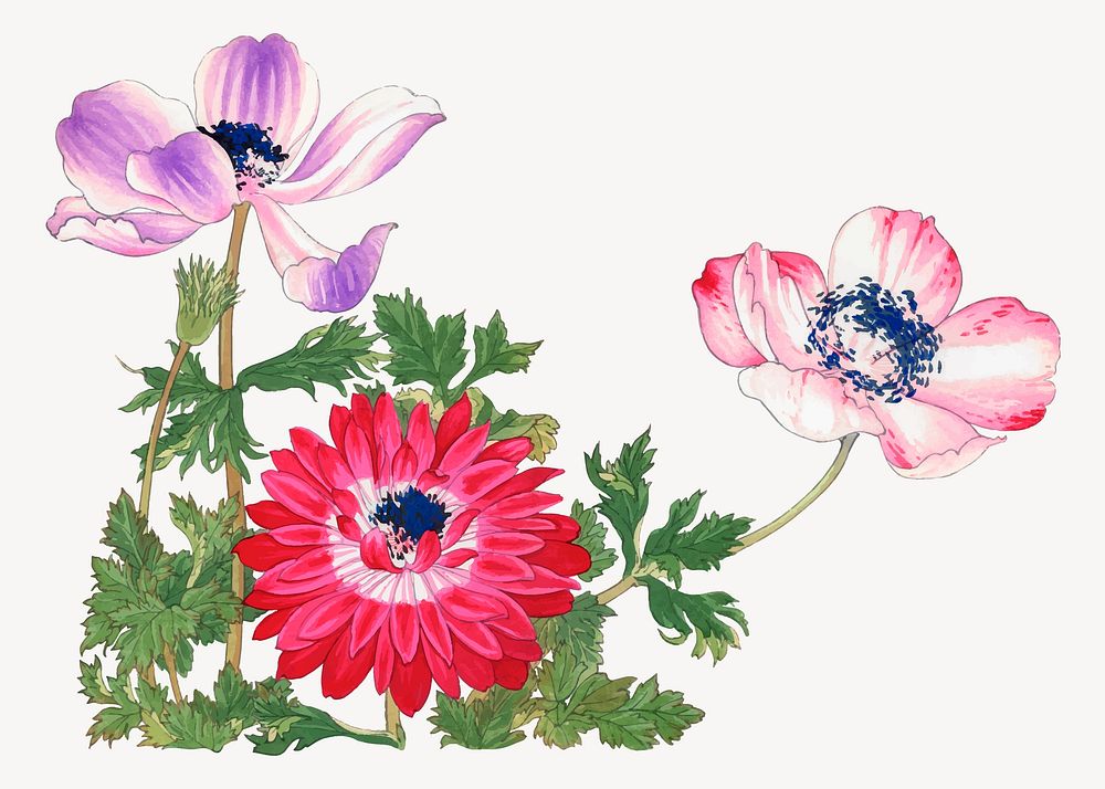 Poppy collage element, vintage Japanese art vector